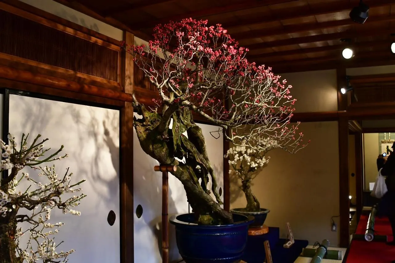 Cozy House 202, Free Wifi A Rented Electric Bicycle Apartment Kyoto